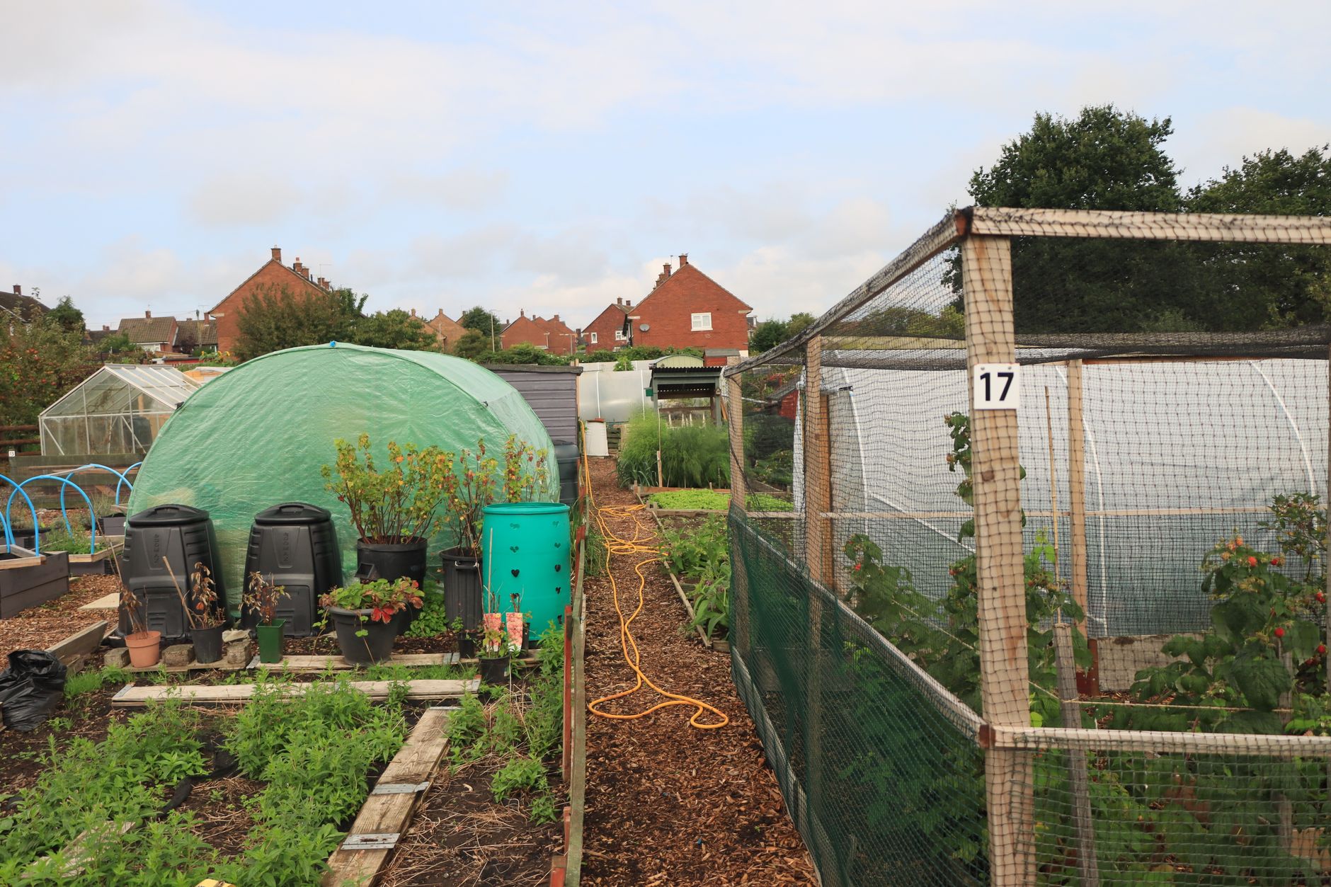 How to Find the Best Allotment Near Me in Essex - zdjecie w tresci